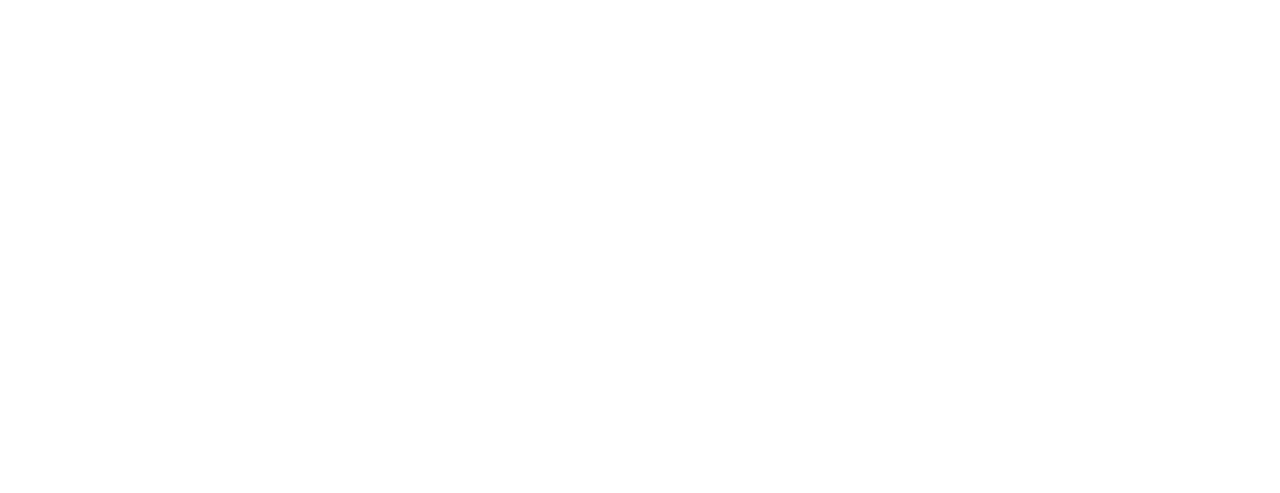 Agent Buddi
